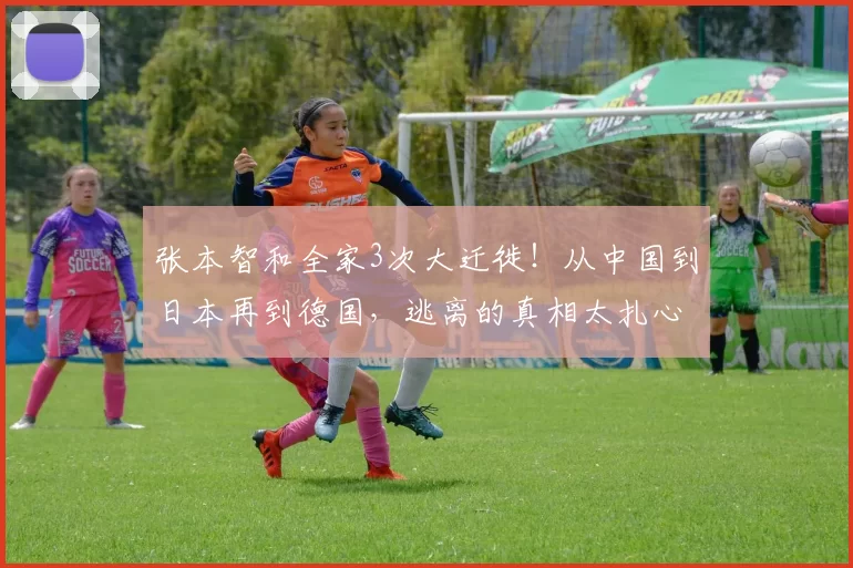 张本智和全家3次大迁徙！从中国到日本再到德国，逃离的真相太扎心