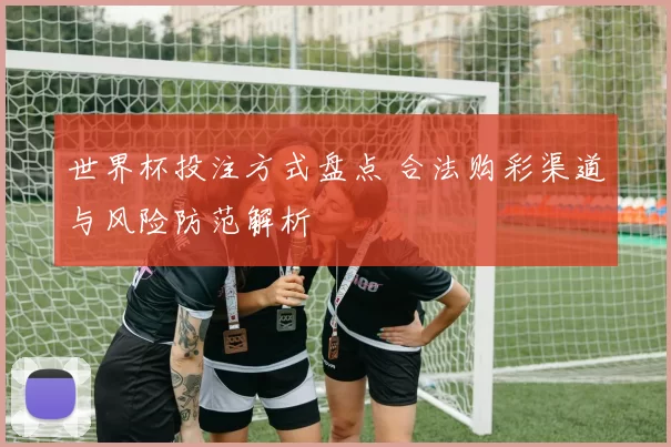 世界杯投注方式盘点 合法购彩渠道与风险防范解析