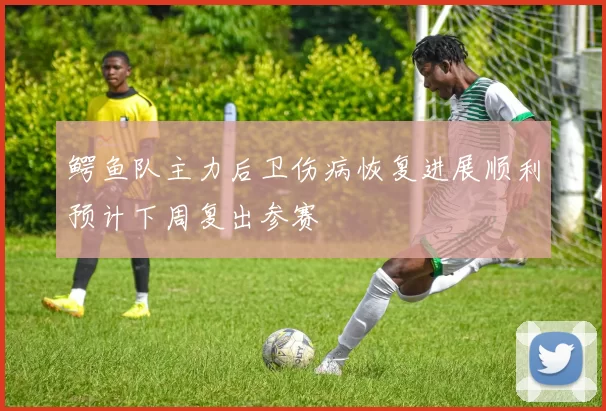 鳄鱼队主力后卫伤病恢复进展顺利预计下周复出参赛
